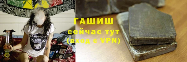 PSILOCYBIN Белокуриха