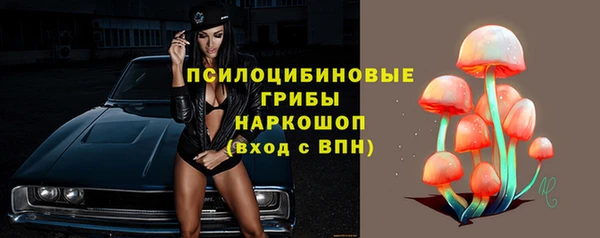 PSILOCYBIN Белокуриха