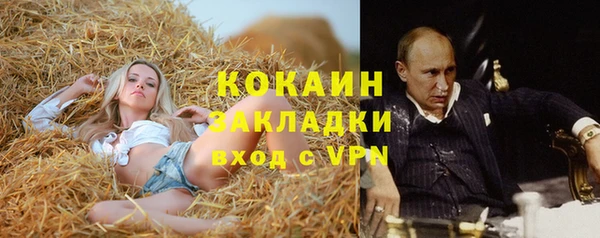 PSILOCYBIN Белокуриха