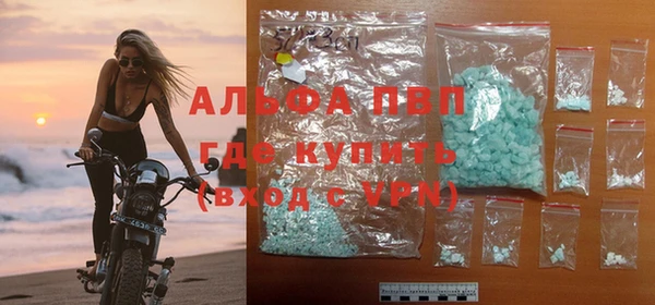 PSILOCYBIN Белокуриха