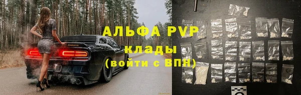 PSILOCYBIN Белокуриха