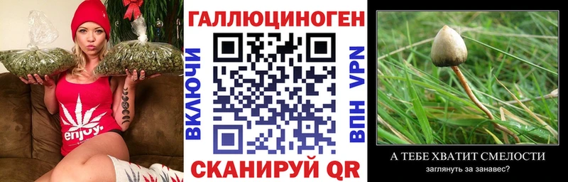 Псилоцибиновые грибы мицелий  купить  сайты  Муравленко 